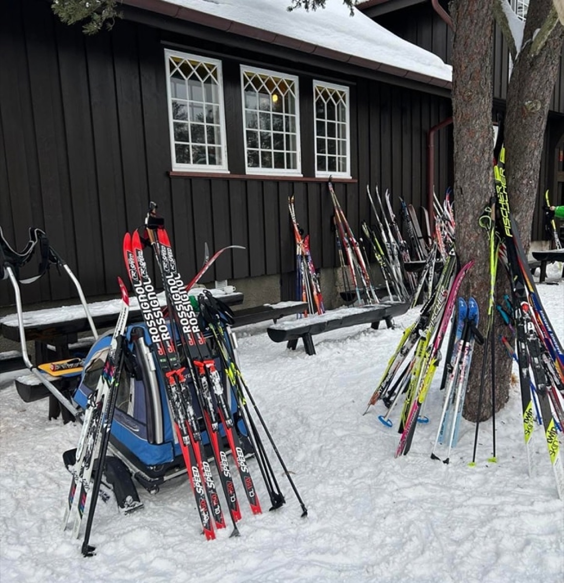 Ski utenfor tømmerhytta i marka