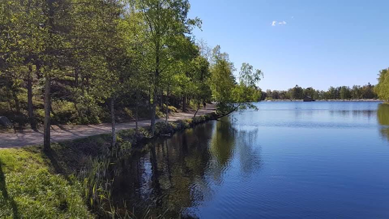 Sti langs vannet i Fredrikstadmarka